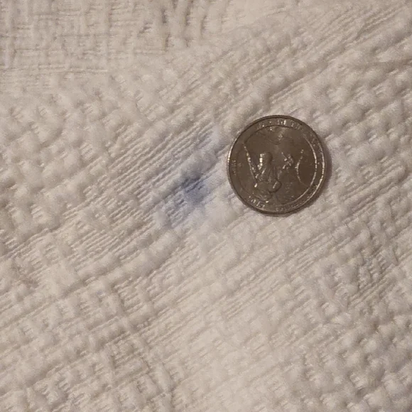 West Elm Silky TENCEL™ & Cotton Matelasse shams Euro Standard +Queen Duvet Cover - Picture 10 of 11